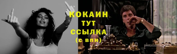 гидра Осташков