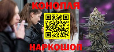 прущие крисы Пугачёв