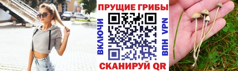 Галлюциногенные грибы прущие грибы  закладка  Слободской 