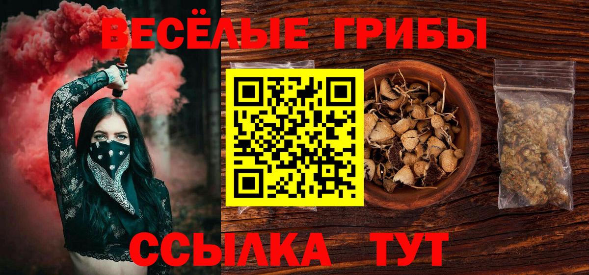 Галлюциногенные грибы MAGIC MUSHROOMS Слободской