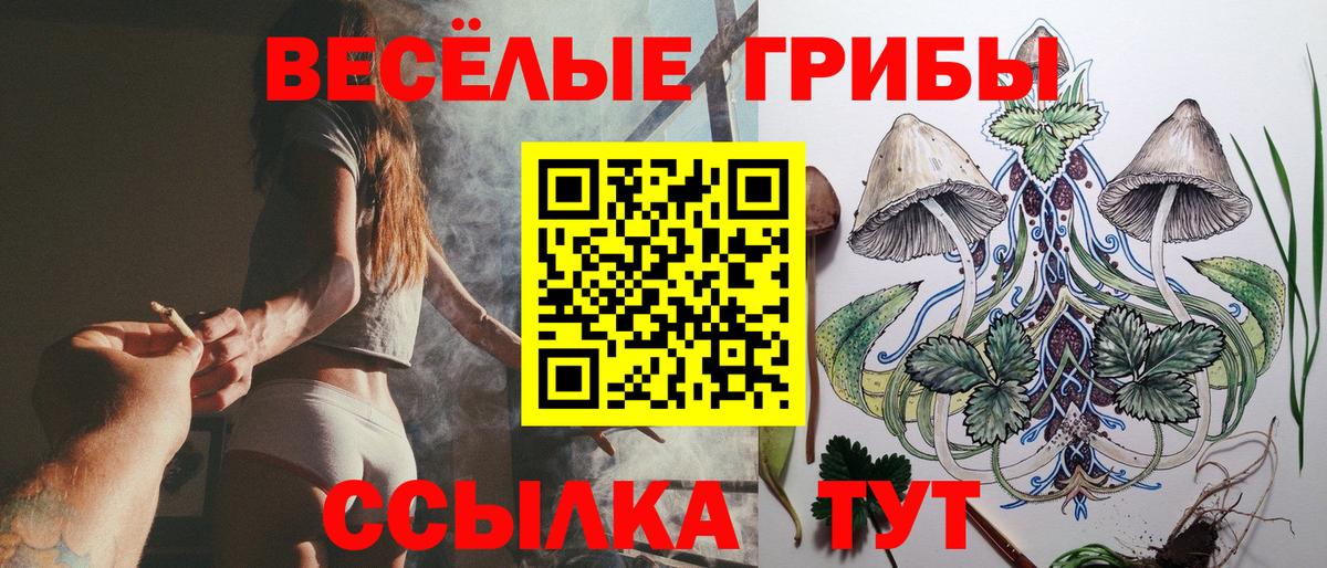 Слободской  Галлюциногенные грибы мицелий  Вход с VPN 