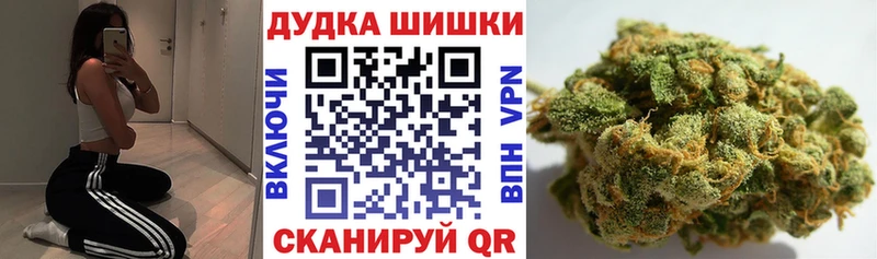 Каннабис планчик  продажа наркотиков  Слободской 